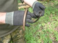 Весна. Веретенница.