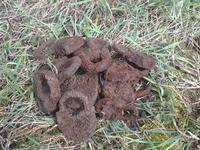 бывают клады и такие )))