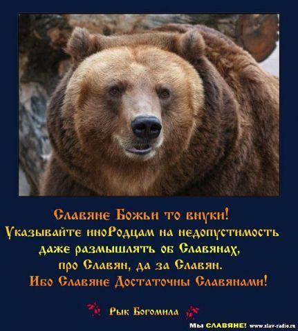 getImage (16)