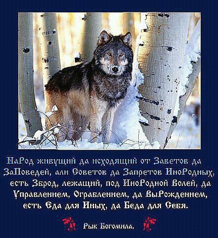 getImage (31)