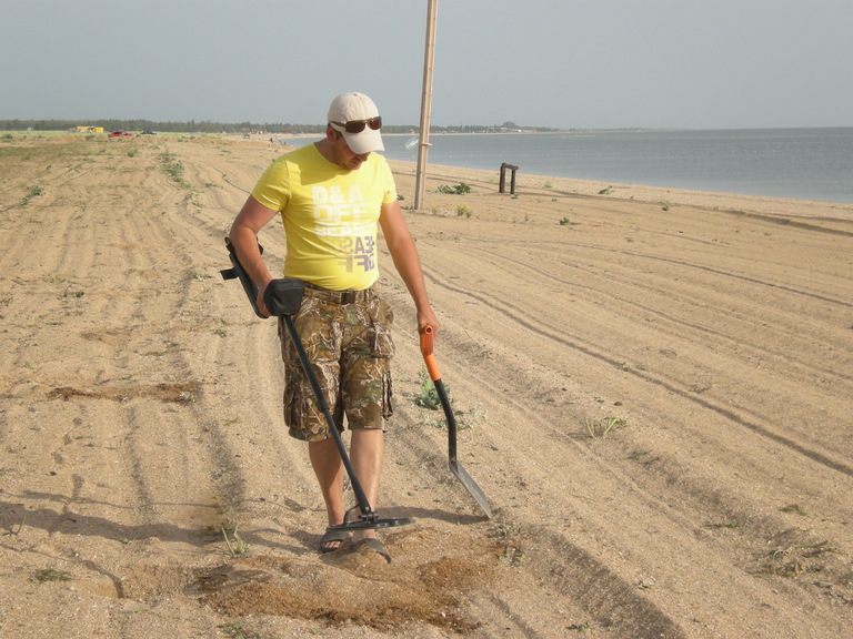 в поисках вкусняшек