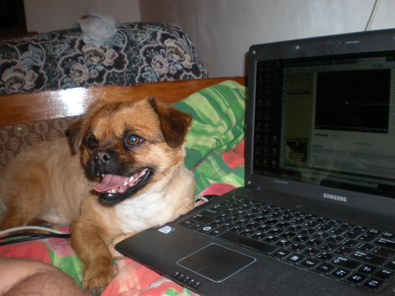 а это мой старпом Арчи