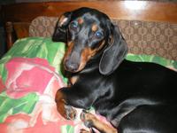 это моя помощница Кира