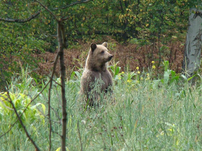 Фотограф дядя Галим