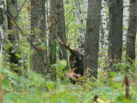 Фотограф дядя Галим