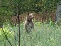 Фотограф дядя Галим