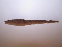 Ещо один наконечник