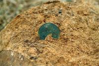 Открытие сезона 2012