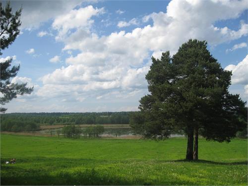 Каринское поле