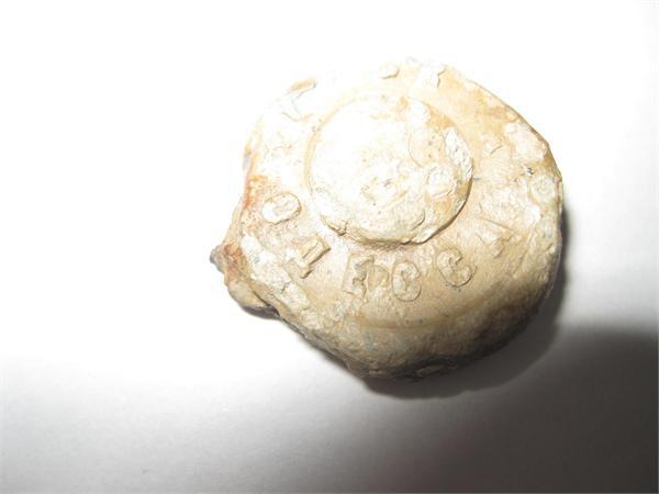 Пломба (надпись Москва Одесса)