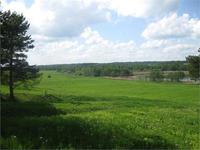 Щас бы туда 