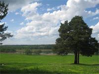 Каринское поле