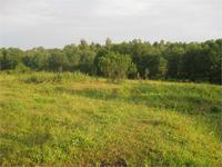 Когда то тут были дома