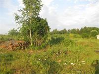 до нас тут уже покопали