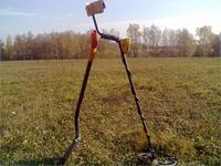 Еще недобитое поле