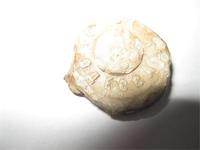 Пломба (надпись Москва Одесса)