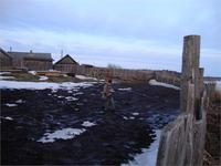 Коп ВЕСНА!!!