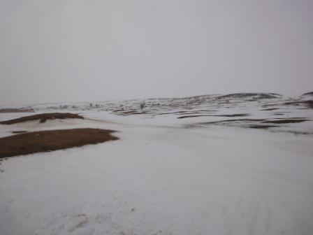 За кадром: я, mangust и En_a_s. Астраханская область)))