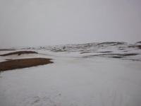 За кадром: я, mangust и En_a_s. Астраханская область)))