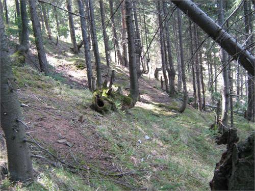 склон горы обращенный в сторону деревни сплошняком изрыт воронками
