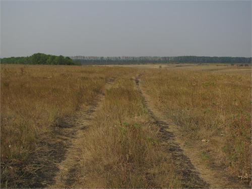 одна из российских бед-дороги...