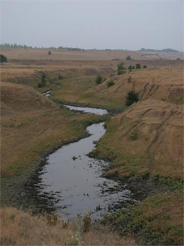 вот такие ебеня