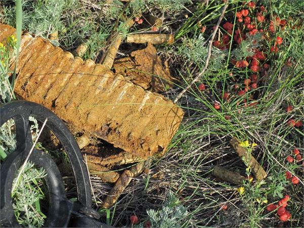 обойма с гильзами от итальянского  крупнокалиберного пулемета Бреда