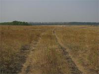 одна из российских бед-дороги...