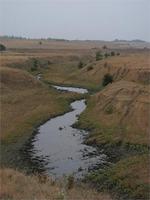 вот такие ебеня