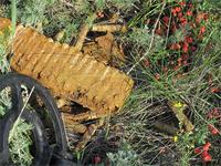 обойма с гильзами от итальянского  крупнокалиберного пулемета Бреда