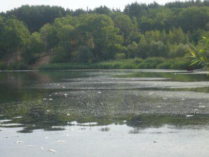 Пруд-охладитель АЭС
