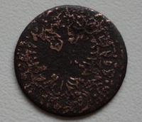 11736.jpg