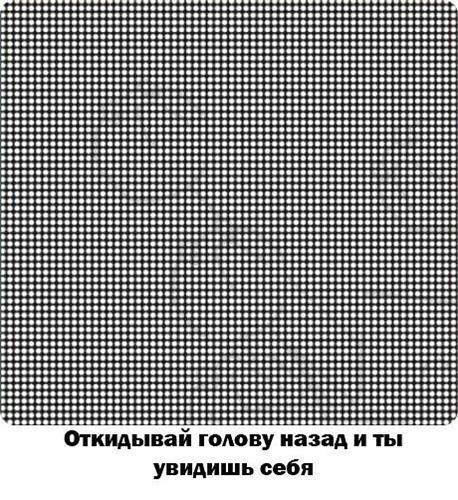 закинь голову назад и ты увидишь себя