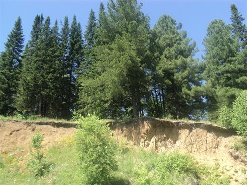 Берег реки Чумыш