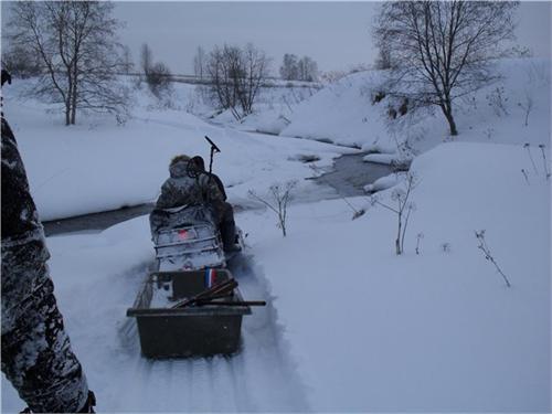красота
