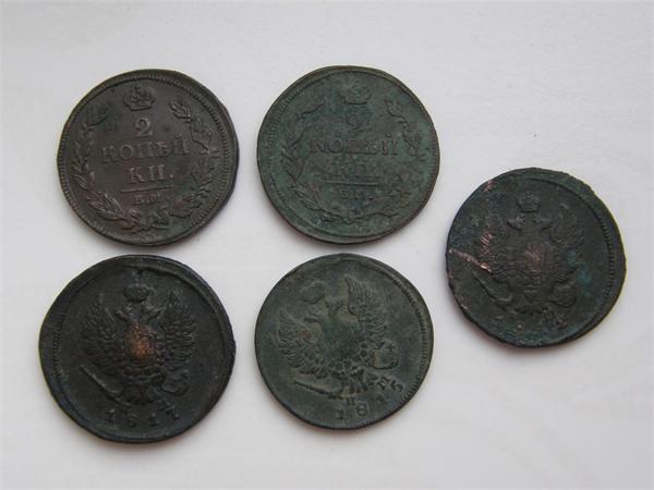 Санитарки полей