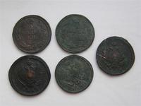 Санитарки полей