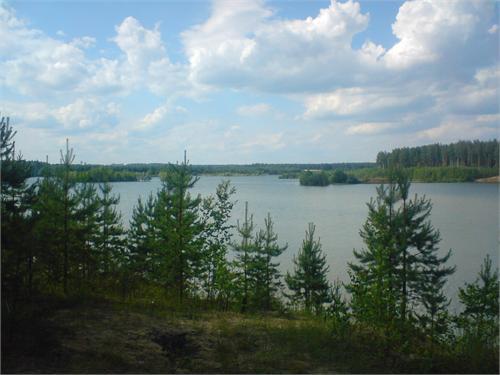 Кировская обл., окрестности пос. Стрижи