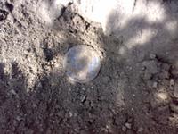 Попался 10-к сибирский