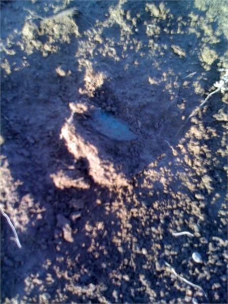 Копать не требуется 1