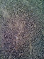 пуговка-гирька