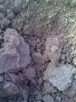 Копать не требуется 2