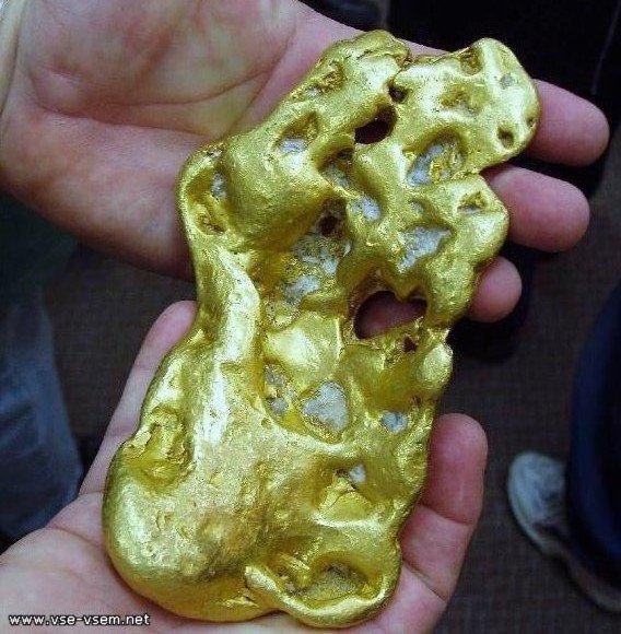 Австралийский подарок