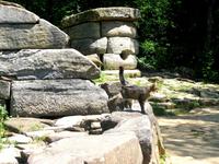 Дольмены охраняют кошки