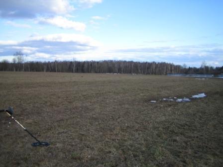 поле,русское поле