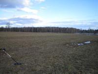 поле,русское поле