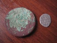 Убитая денга и первая чешуя!!!!