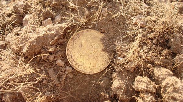 5 рублей Николай