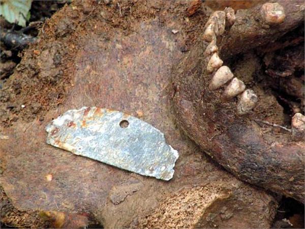 немец Похоронка уже Работала... зубы выломаны это видно на фото...