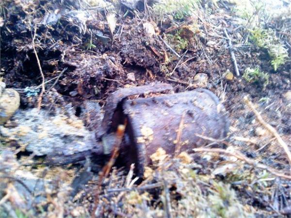 ВПГС 41 Состояние не очень( пришлось оставить 